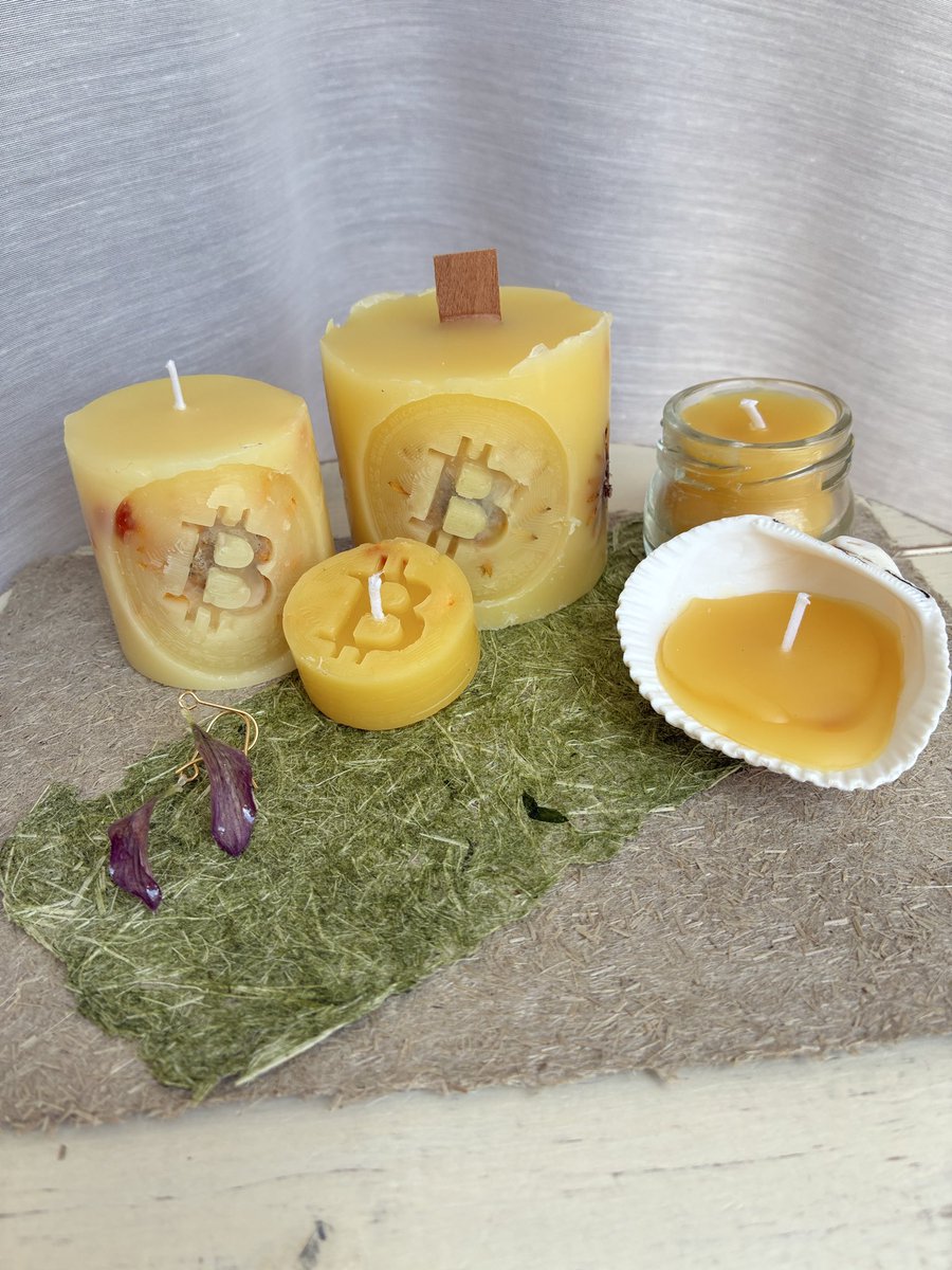 Chika / Honey ₿ Garden tweet media