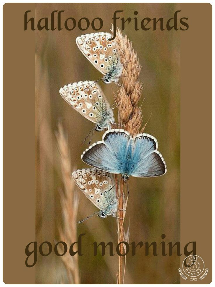 JosetteJ1's tweet image. Bonjour et agréable mercredi à chacun(e) 😘  
Le café vous attend 😉 
☕☕☕☕☕☕
Bon courage les travailleurs 👍
@klingerlydie
@LisaLsalinger 
@CassinDe23  
@vivi7244  
@schydlowski1 
@ermite2917
@gregos73100 
@66Jeafra  
Météo 6°🌤 maxi 19°🌤
#Printemps