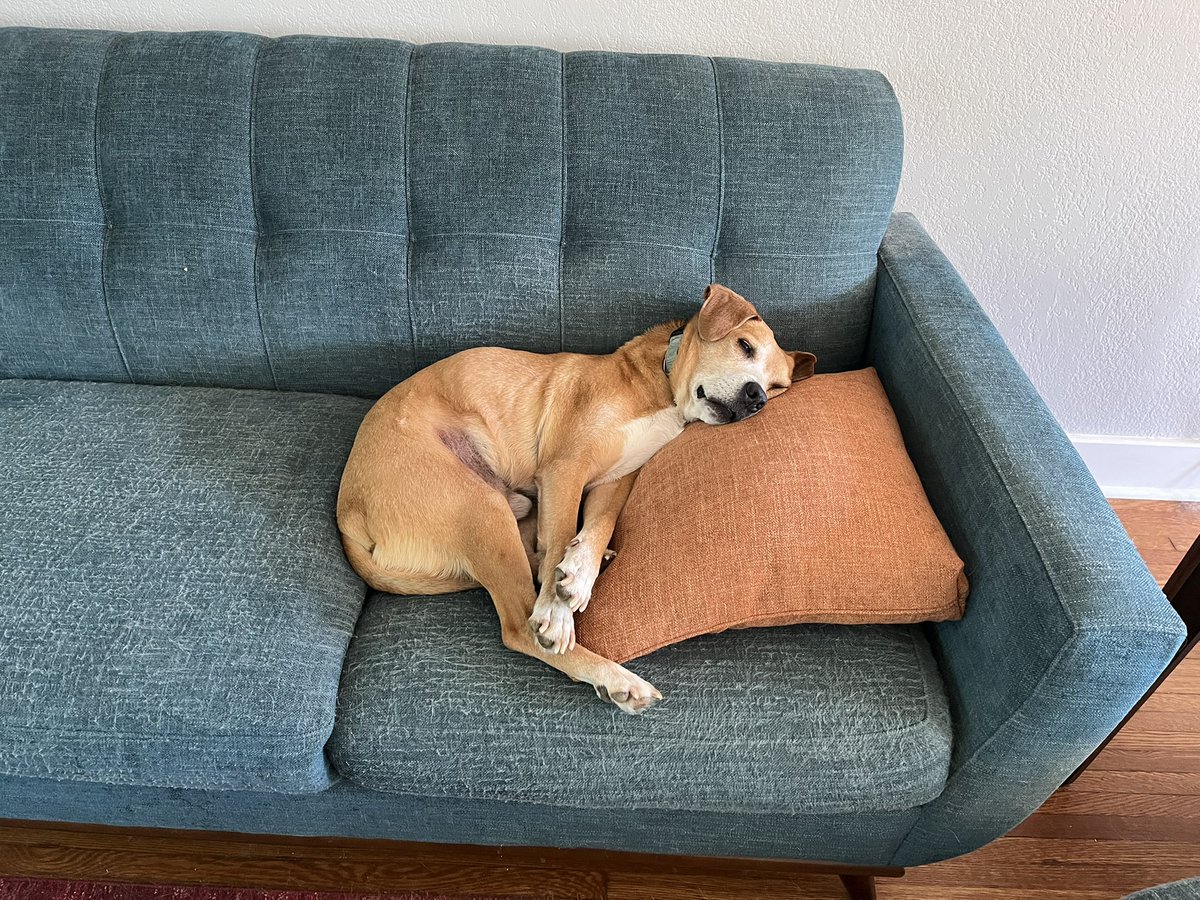 Donovan Orville Gidcomb, The Celebrated D.O.G. tweet media