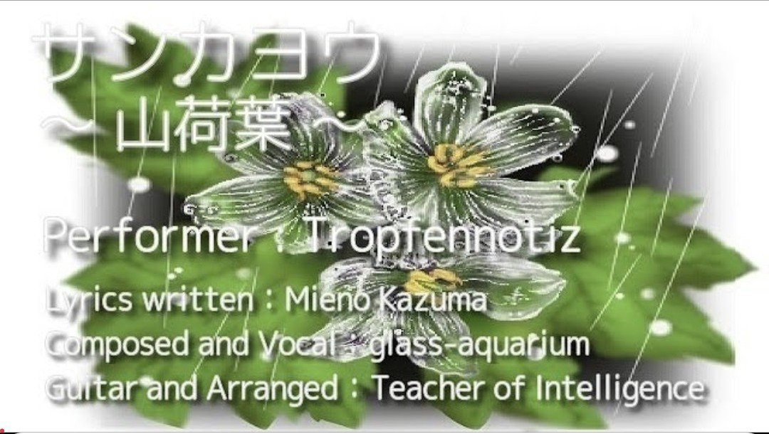 glass_aquarium(Tropfennotiz) tweet media