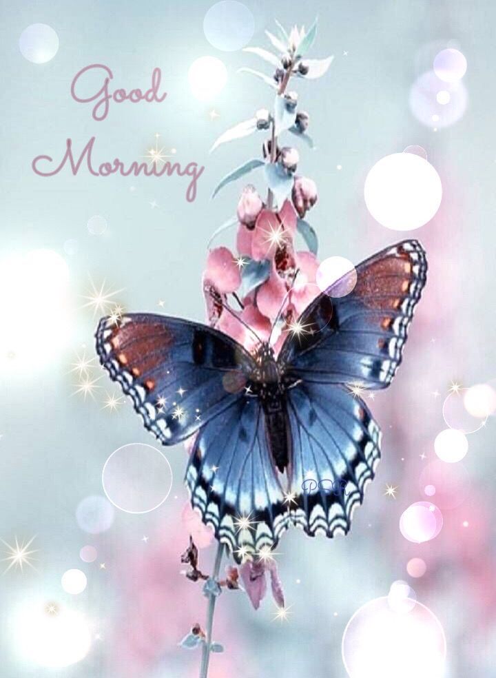 JosetteJ1's tweet image. Bonjour
@CassinDe23
@klingerlydie
@LisaLsalinger
@vivi7244 
@gregos73100
@66Jeafra  
Belle journée de mercredi les copinous 😘
Le café/thé vous attend.    
 ☕☕☕🍵☕☕☕
Courage les travailleurs 👍
 Météo 6°🌤 maxi 19°🌤
#Printemps 🌺