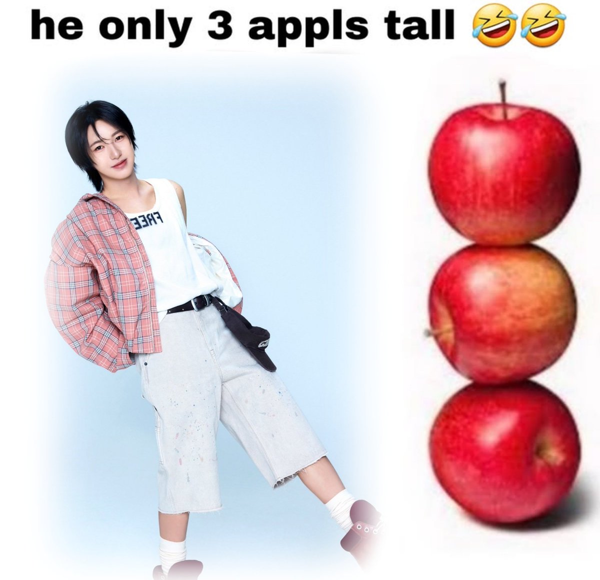 we love a 3 apple tall king 😻