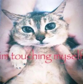 panic! at the my chemical romance fall out disco ↯ tweet media