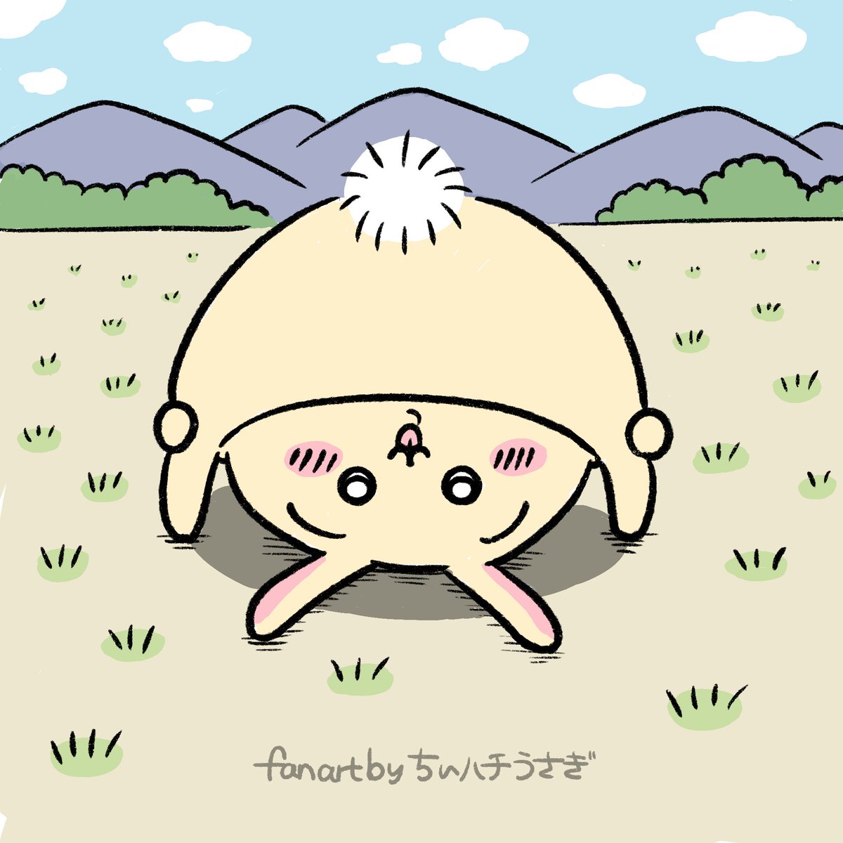 ちいハチうさぎ tweet media