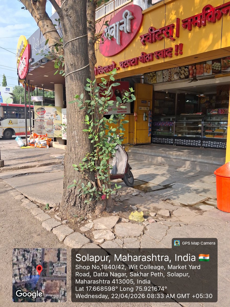Situation of trees under Solapur MNC area. Footpath being constructed without giving space to the roots and stem.
From this #WorldEarthDay 2026 let us conserve our trees as "We mean it"
<a href="/smcsolapur/">Solapur Municipal Corporation</a> please look into the condition and conserve our trees.
#SaveTreesFromConcrete
