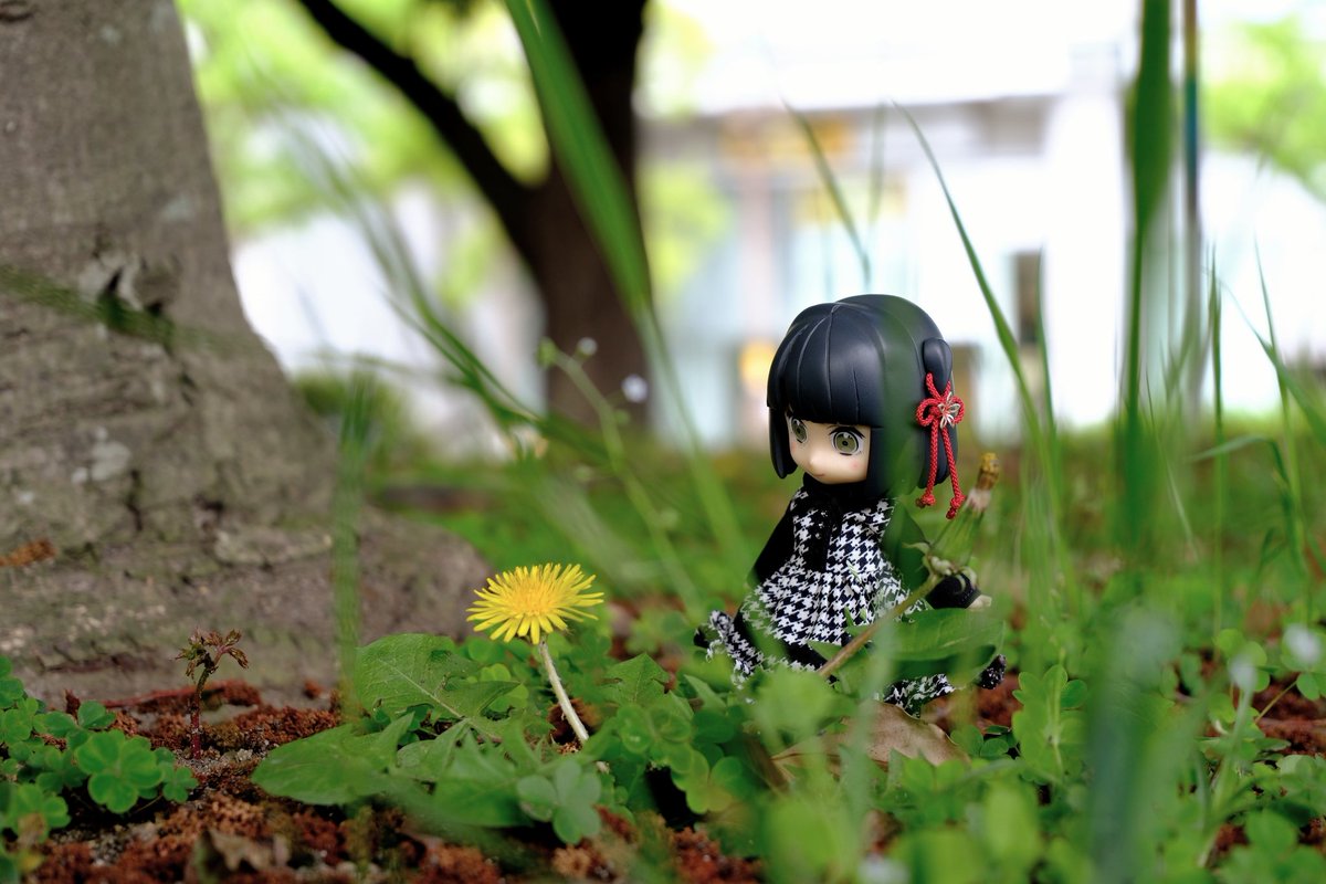 ざこと tweet media