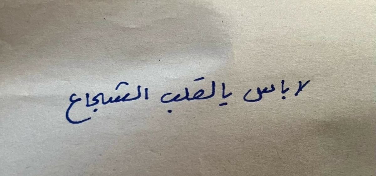فَطَّة. tweet media