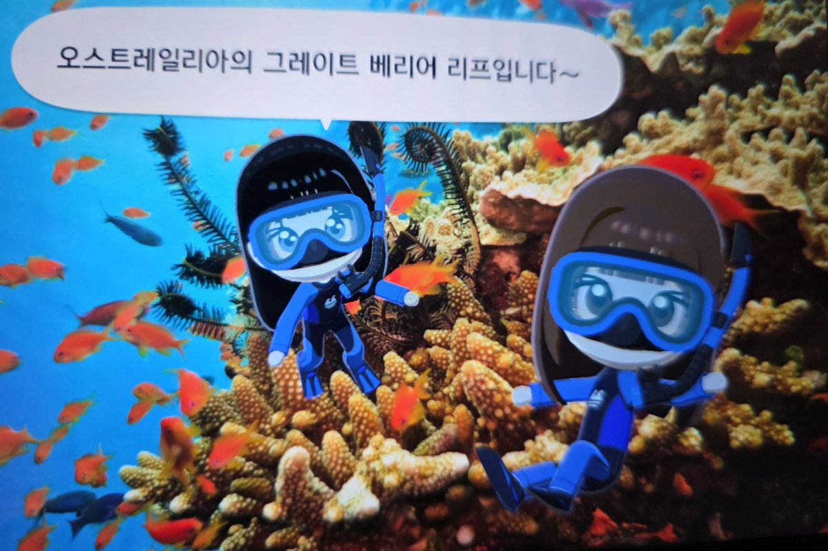 Mogaesan's tweet photo. 채기 근황
친모아로 영리즈 만들어서 여행보내줬어요 https://t.co/jUshPKX9fD