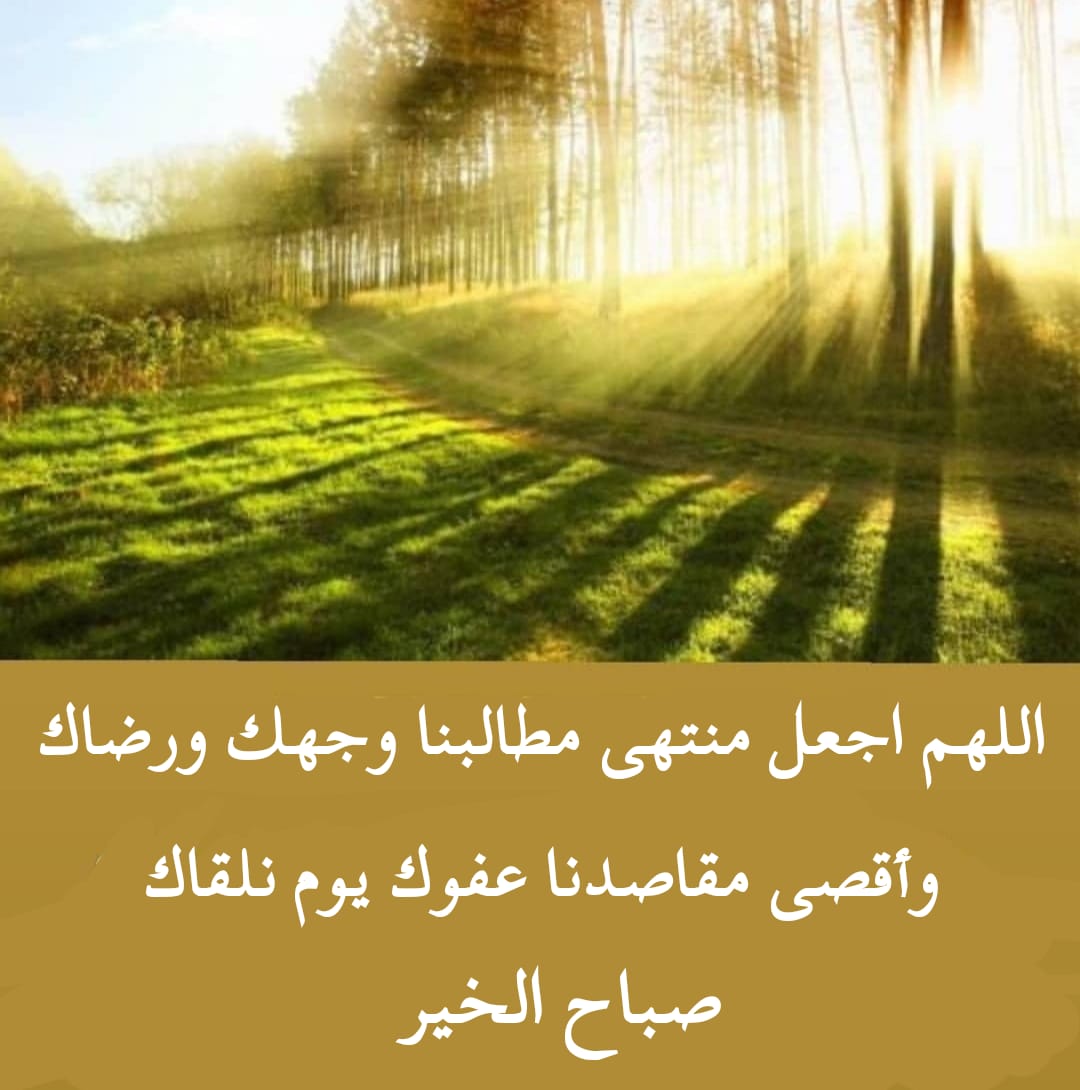 ✴ السراب ✴ tweet media