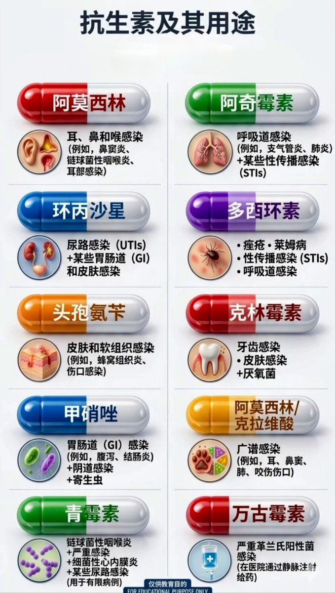Dr.Wang tweet media