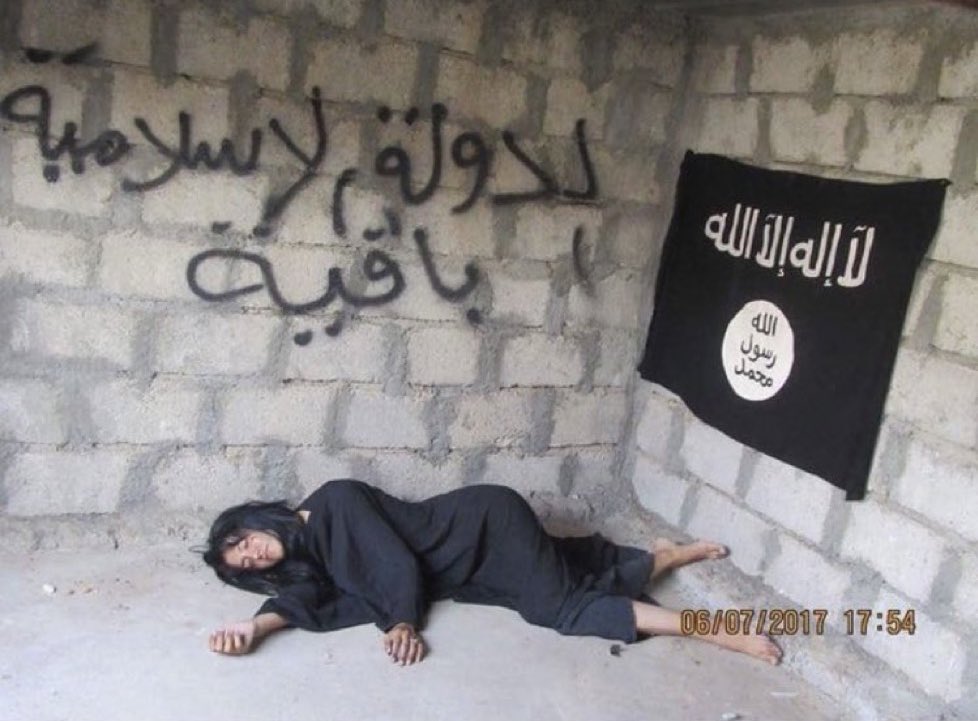 يسألونك عن الروح tweet media