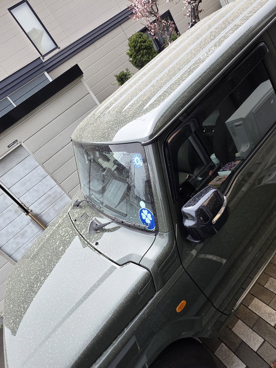 しげ🌸🌸🌸🍶🍶 tweet media