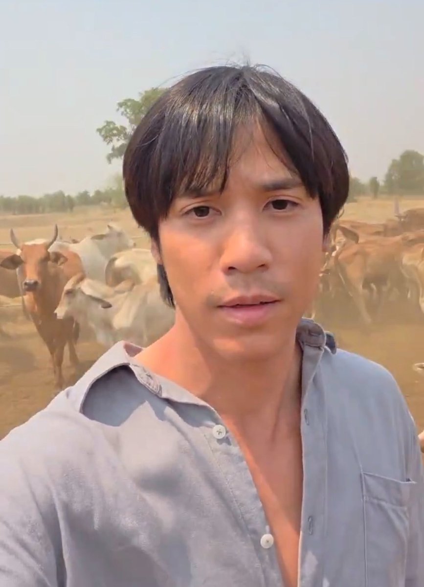 ⋆⑅ 𝘔𝘢𝘮𝘢 𝘱𝘦𝘢𝘳𝘭∘ꕤ tweet media