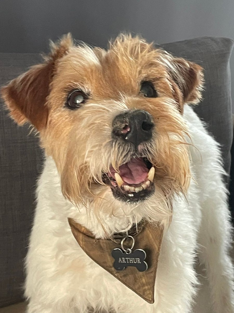 Sara Mary ⭐❤️ tweet media