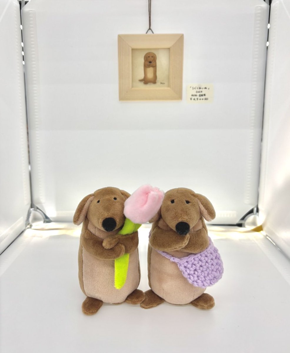 もじいぬ tweet media