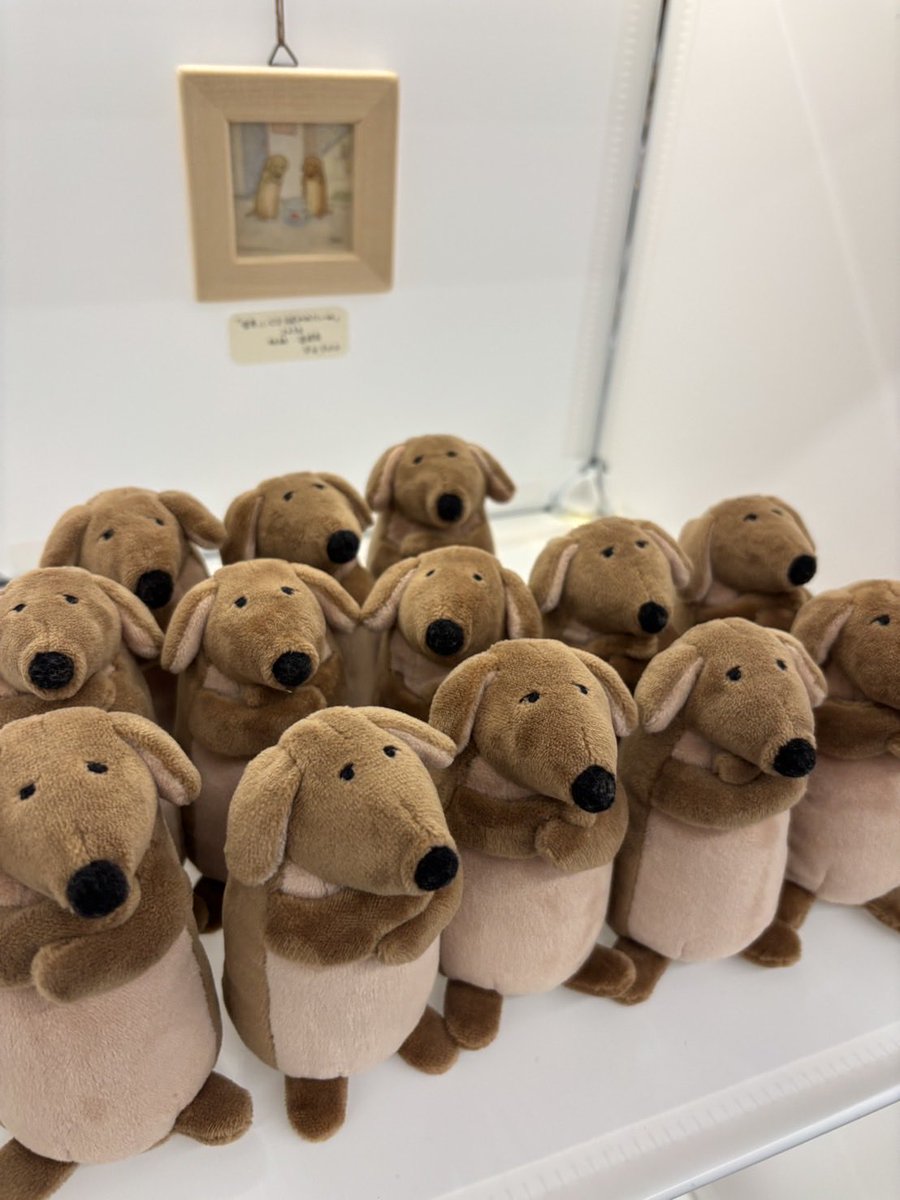 もじいぬ tweet media