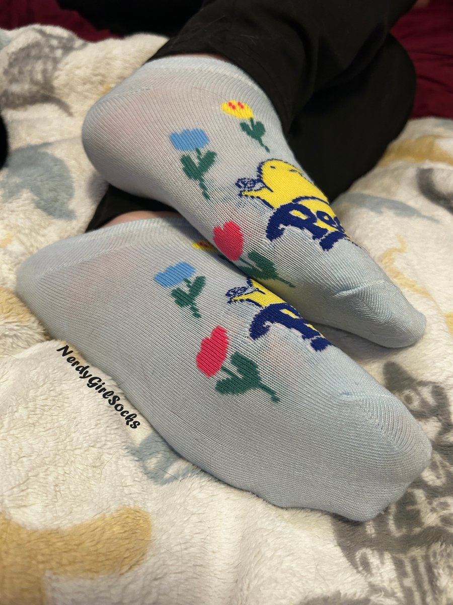 NerdyGirlSocks tweet media