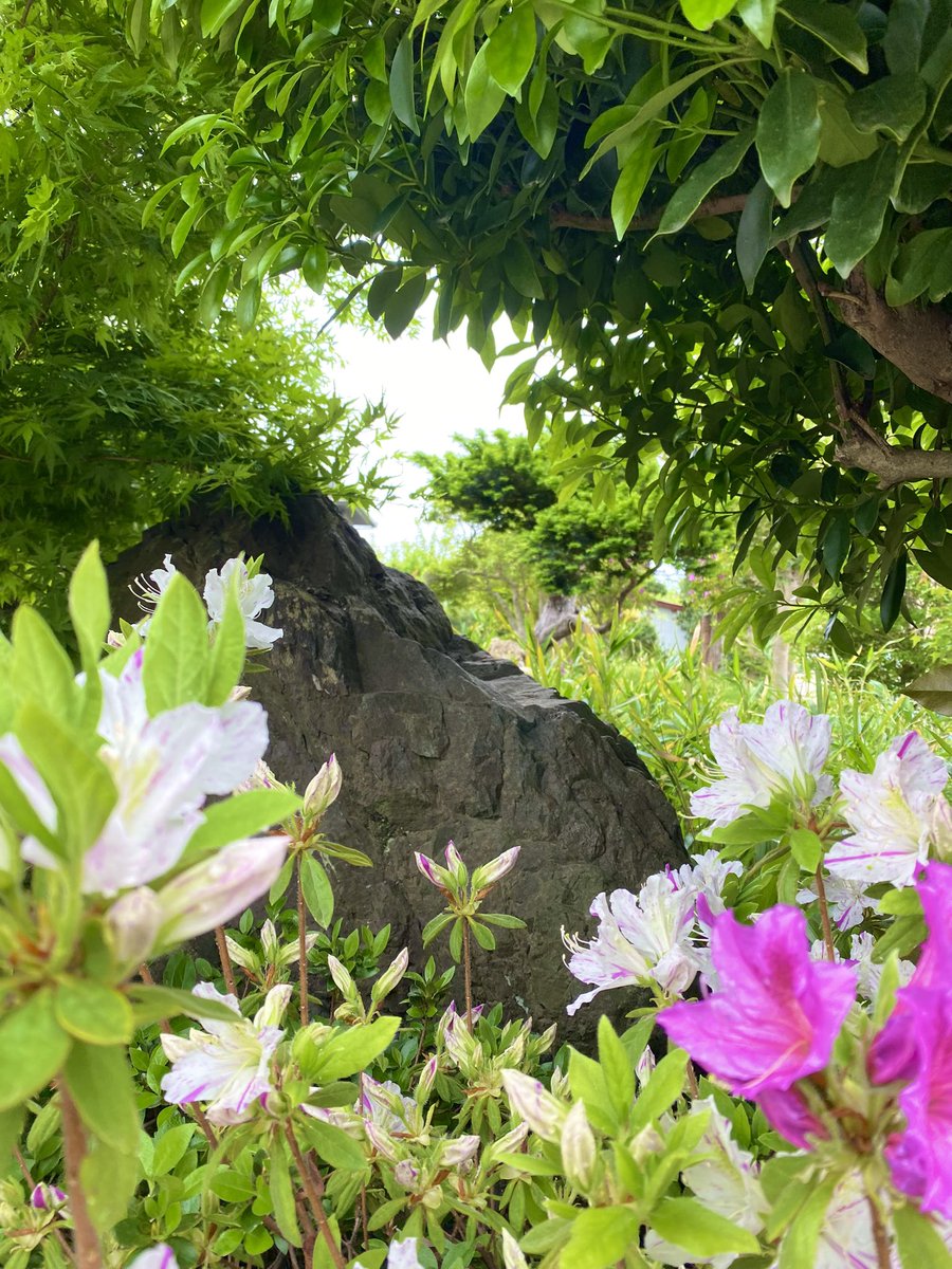 アンダーシュート🍃 tweet media