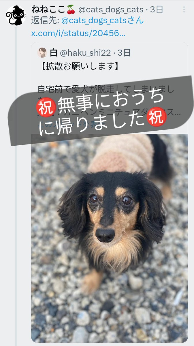 ねねここ🍒 tweet media