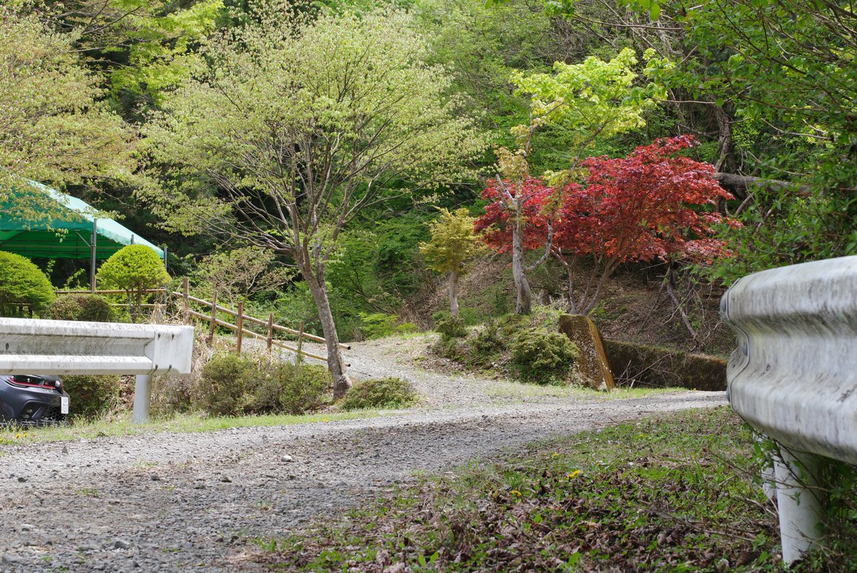 道び完 tweet media