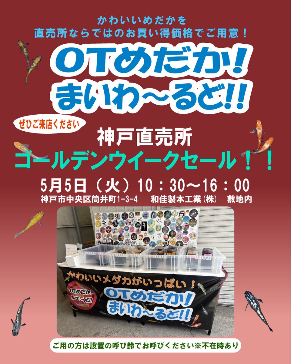 OTめだか！まいわ〜るど！！ tweet media