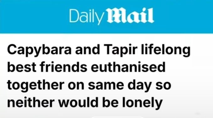 damn as if conceding that one could not live without the other. i wonder if they had a friendly but relentless game of one-upmanship going