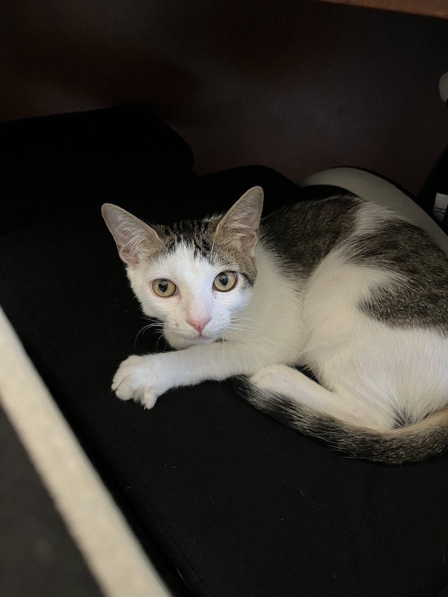 Daily Pixel 🌱 tweet media