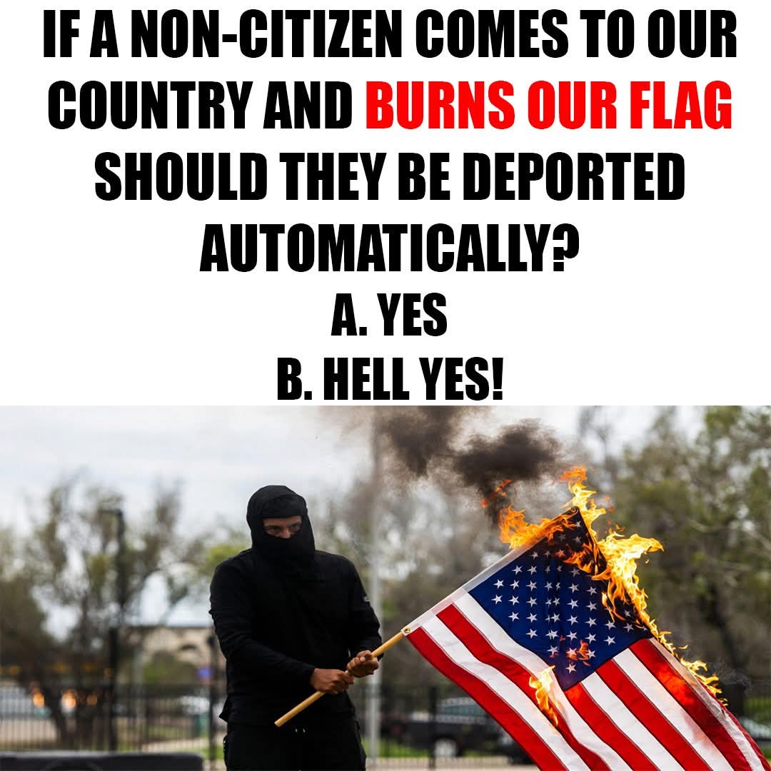 Sassafrass84 tweet media