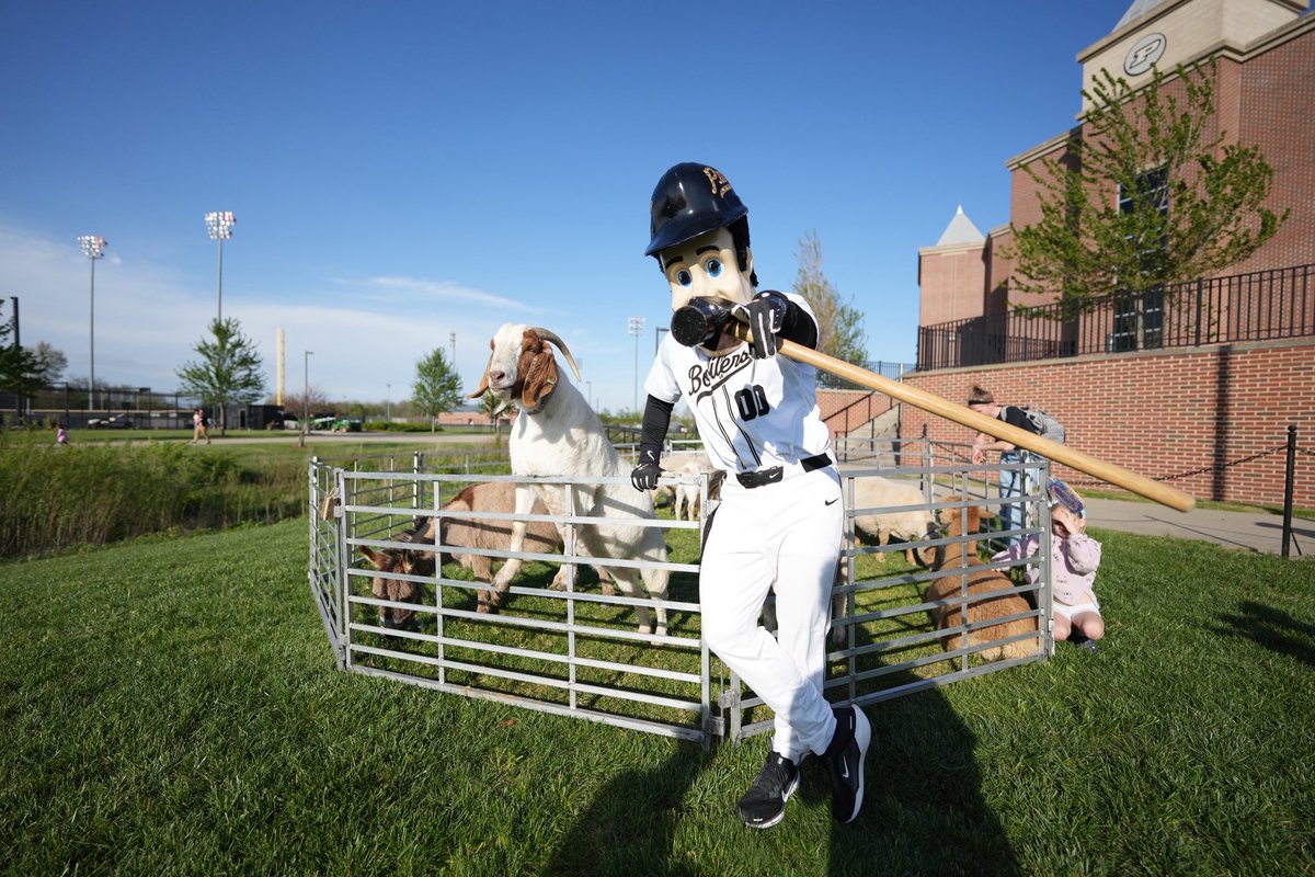 PurdueSports's tweet photo. Was a goat takeover at the ballpark today.

🐐 5 homers
🐐 New team single-season RBI record
🐐 New single-season hits record 
🐐 Softball Safari Petting Zoo https://t.co/JSTKIcYEHK