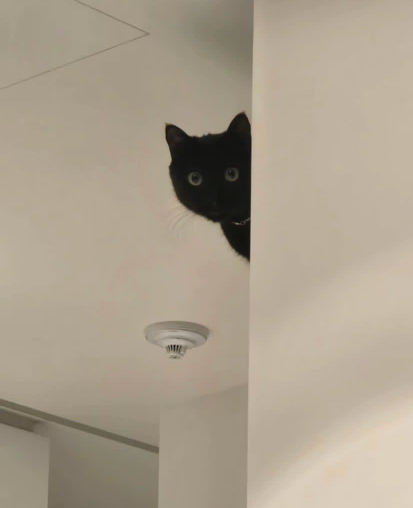 nana ⊙⊝⊜ tweet media