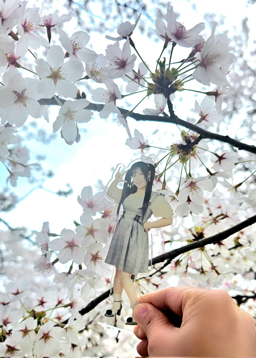 大野敦子🌙4/26@M3第二展示場1Fか-16b tweet media