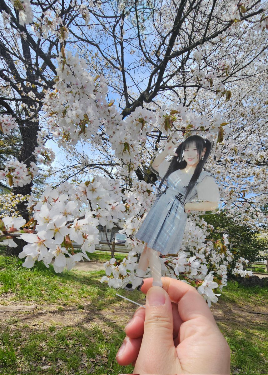 大野敦子🌙4/26@M3第二展示場1Fか-16b tweet media