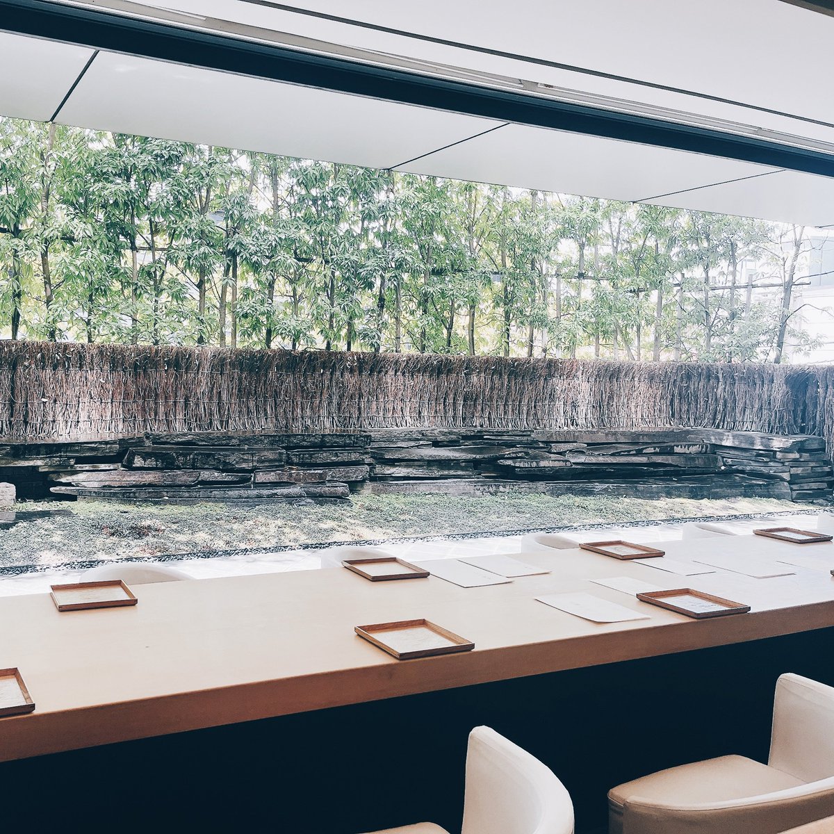 Misa아미모아🐿️🐱🐰 tweet media