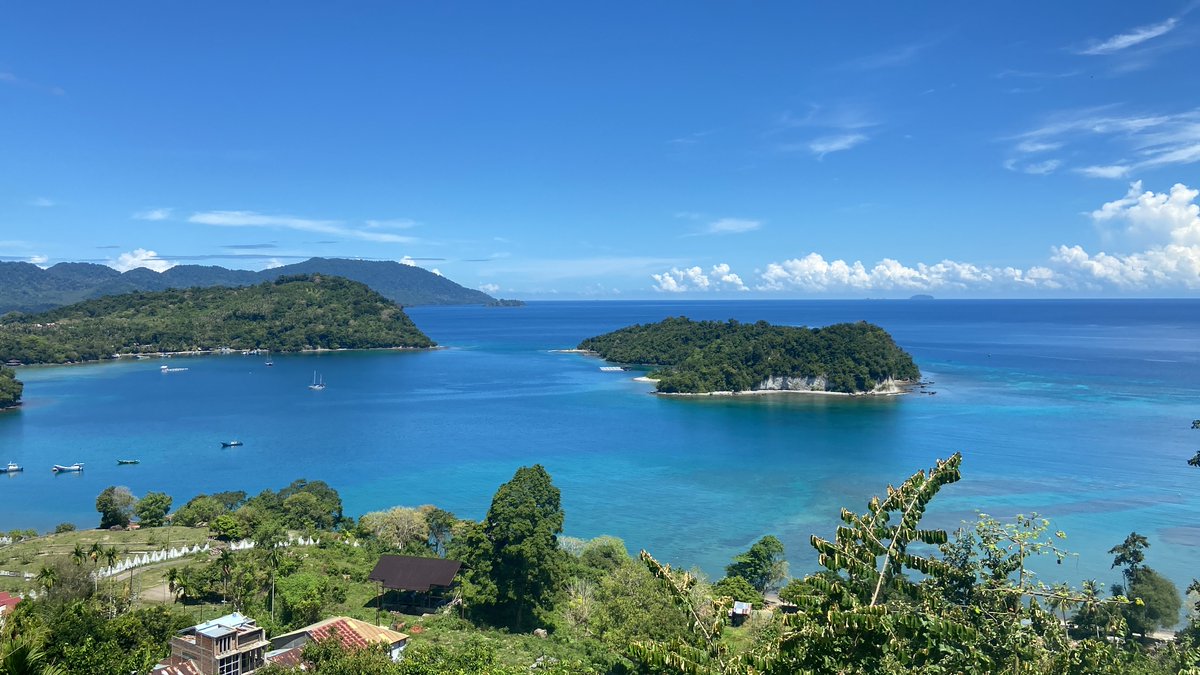 Dabs | Σ: ☁️ tweet media