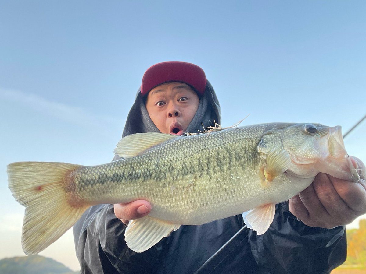 Bousou_Shingo's tweet photo. 高滝湖で朝練！

とりあえず1尾釣れてくれた！

竹にカバーに絡まってたブラーモも2個回収✌️

ブラーモはボロボロになるまで使い続けられるので遠慮なく使わせていただきます！

#高滝ダム #センコー https://t.co/4OkCIgpypF