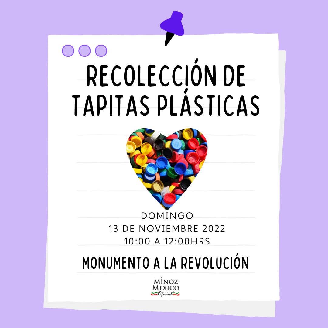 Amanda Cogco tweet media