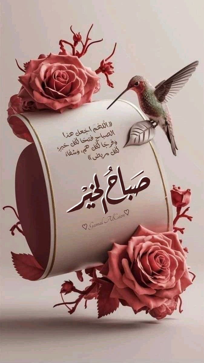 راشد النعيمي- عُمان tweet media