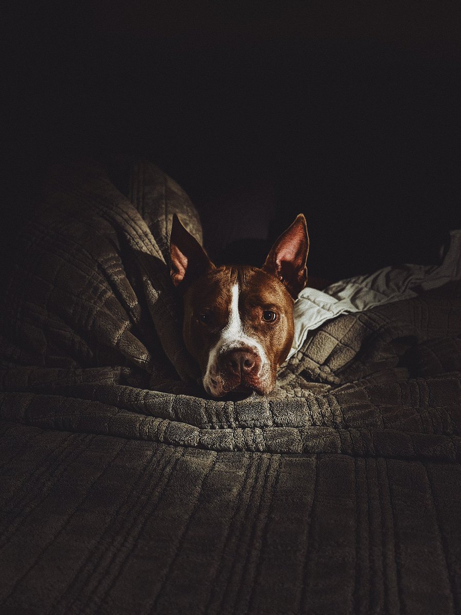 stephen ن tweet media