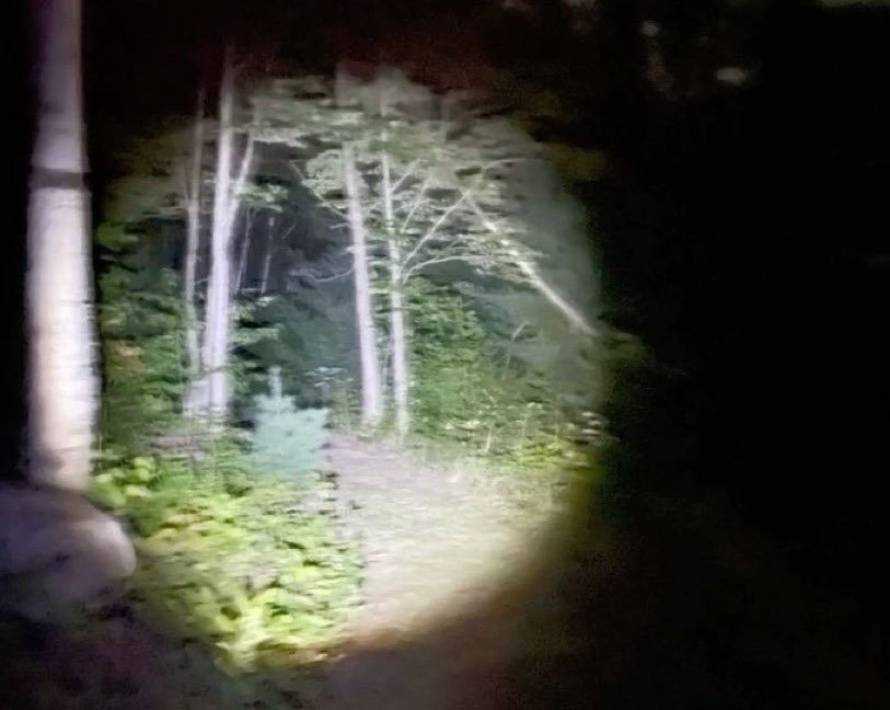 𓍊𓋼𓍊 Proxy of Edtwt 𓍊𓋼𓍊 tweet media