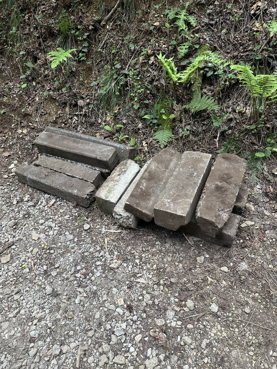 mae8423@八王子斜面の会 tweet media