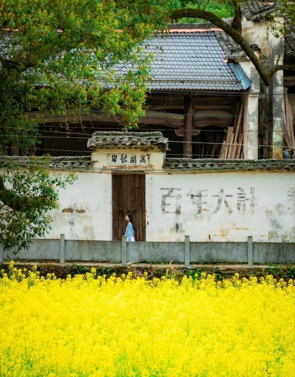 汤汤（互fo互赞互评） tweet media