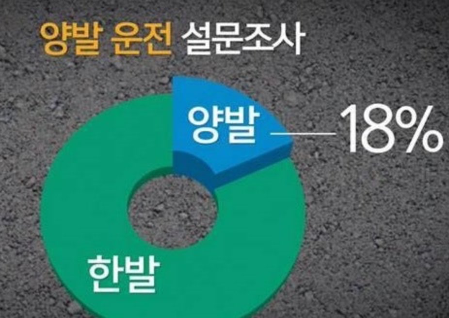 캣츠파파 tweet media