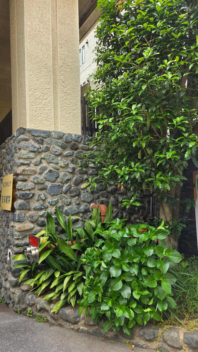 🩵yuu_manyuminまゆ😤🌼🌌 tweet media