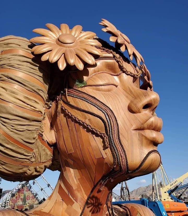 Image.in tweet media