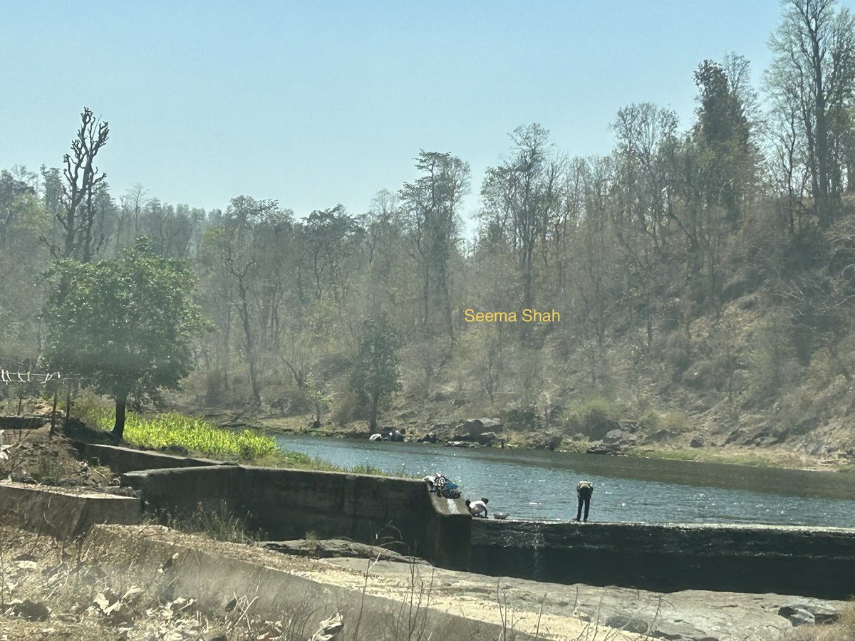 SeemaSh46712468's tweet image. “Protect your ecosystem’
Simple funda for save our planet.#Worldearthday  
Here I share forest of #Dang  #Gujarat 
Have Wonderful Wednesday ahead 🙌🏻🌳🌳🌅❤️
#Sclick
#Sऊवाच😍 
#Worldearthday2026