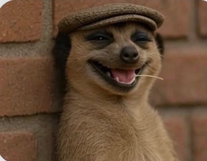 Salut Zlatan. Si tu cherches un professeur de français qualifié, je suis la personne qu’il te faut. Par quoi dois-je commencer, monsieur ?