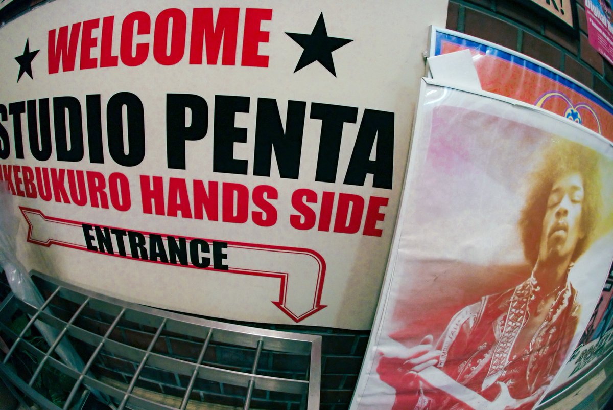 ミズメ tweet media