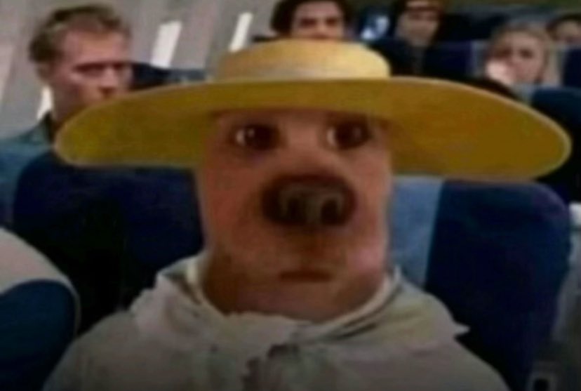 obesitea 🫰 tweet media