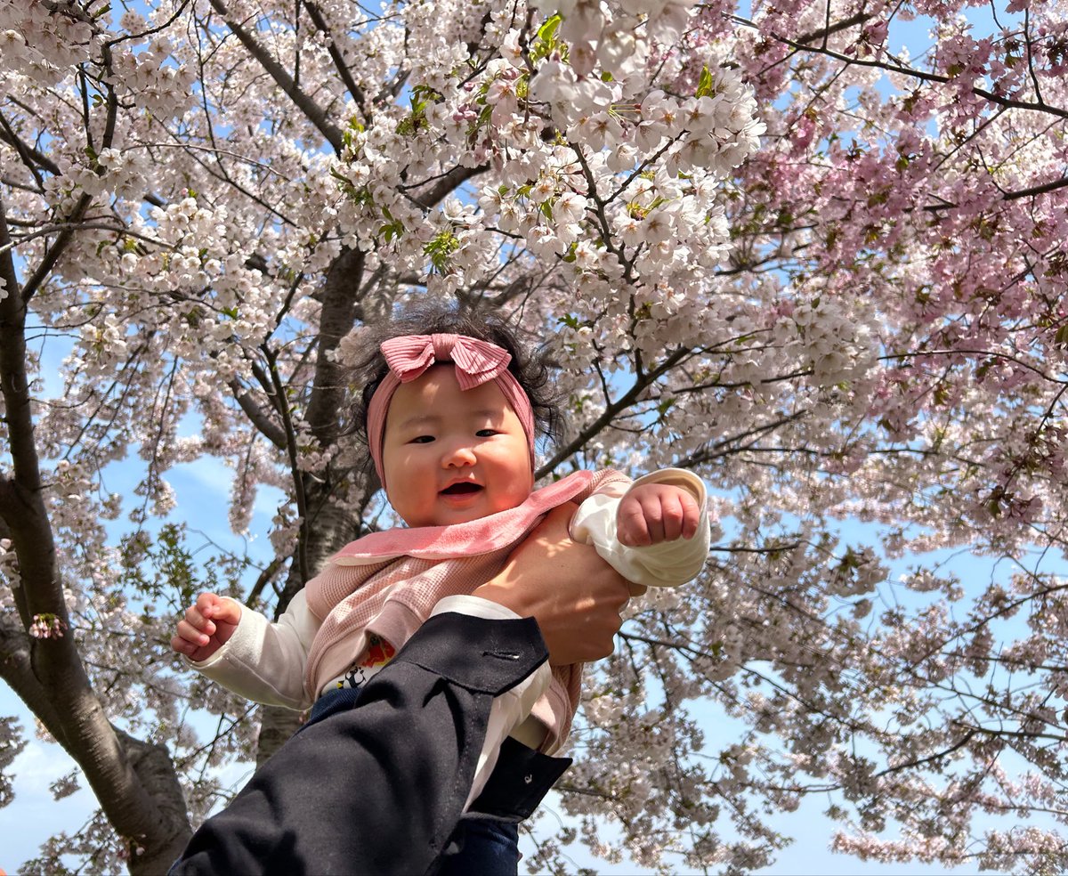 未咲(みさ) tweet media