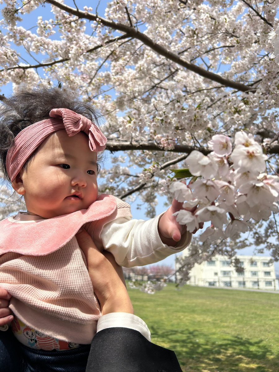 未咲(みさ) tweet media